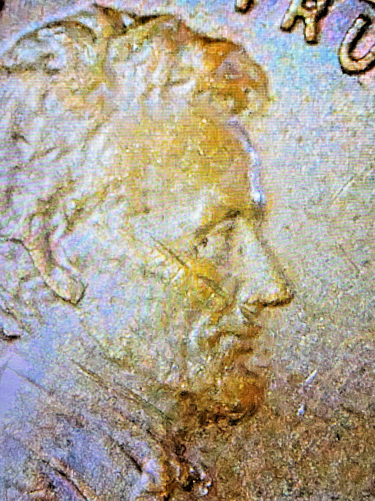 NM 1981 Lincoln Memorial Penny RD Obverse-Reverse Letters Errors