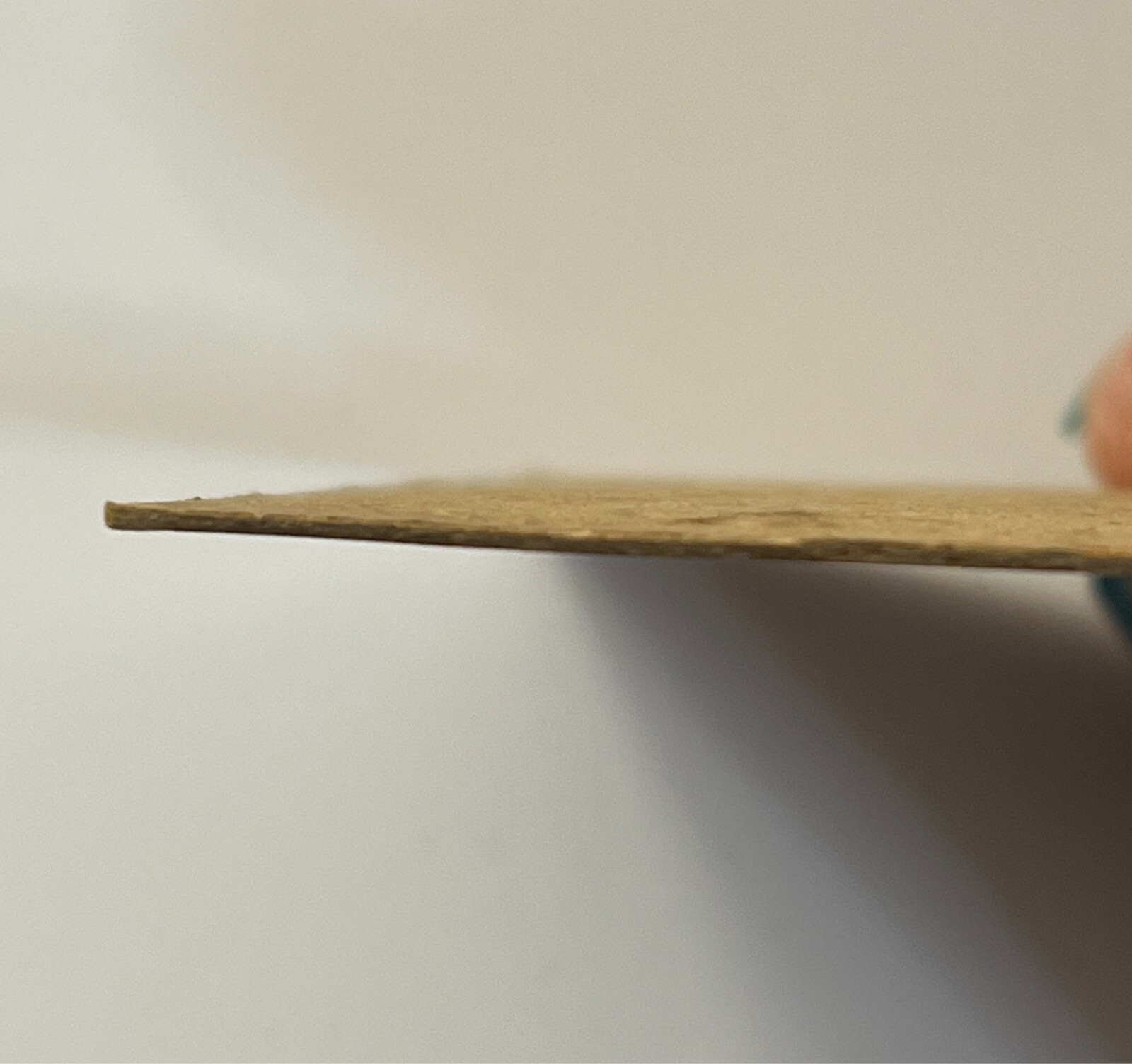 CIVIL WAR CONFEDERATE GENERAL THOMAS STONEWALL JACKSON SIGNED PHOTO CDV CARD HTF