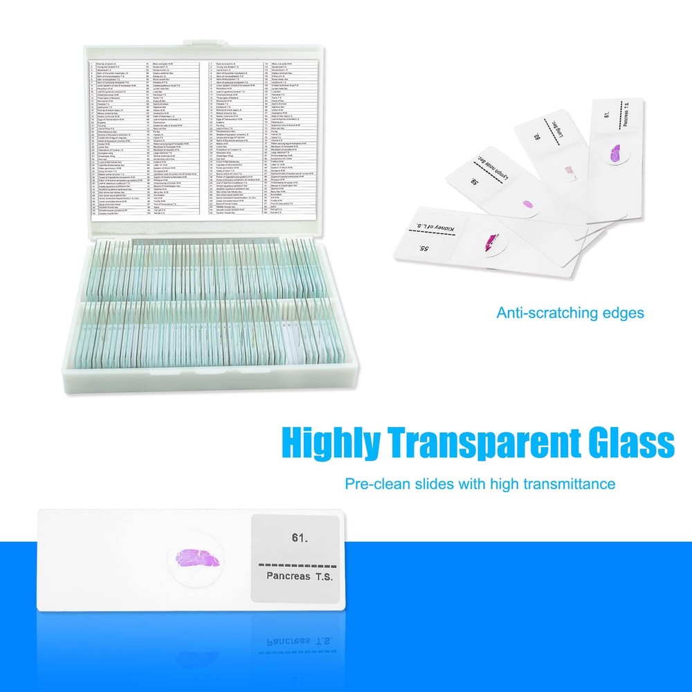 Microscope Slides, 100 Pcs Prepared Slides 100 pcs, Transparent