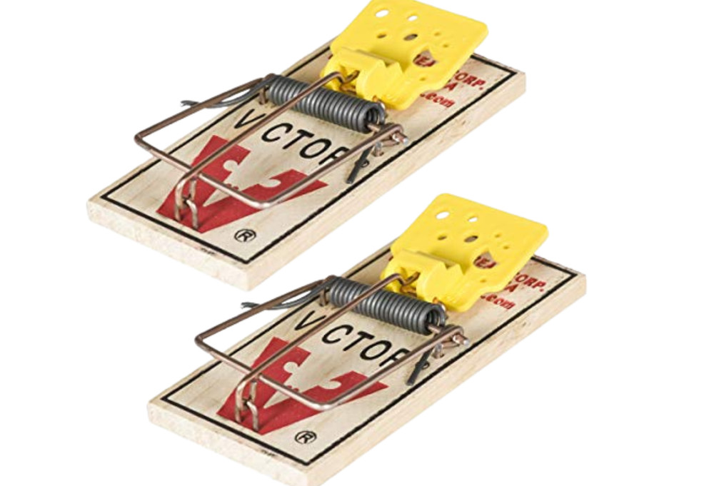 Easy Set Mouse Traps, 2-Pack ( 4 count )