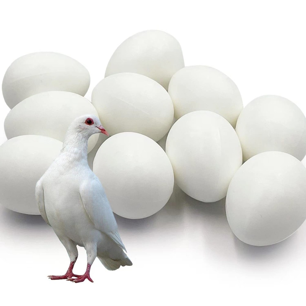 10pcs Solid Plastic Pigeon Eggs Fake Hatching Supplies for Racing Birds