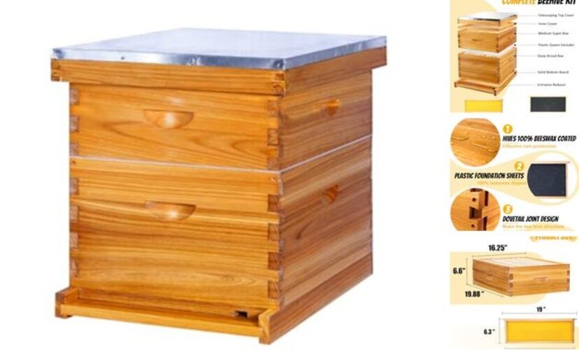 10-Frame Beehives Starter Kit – Complete Langstroth Hive with 1 Deep 2 Layers