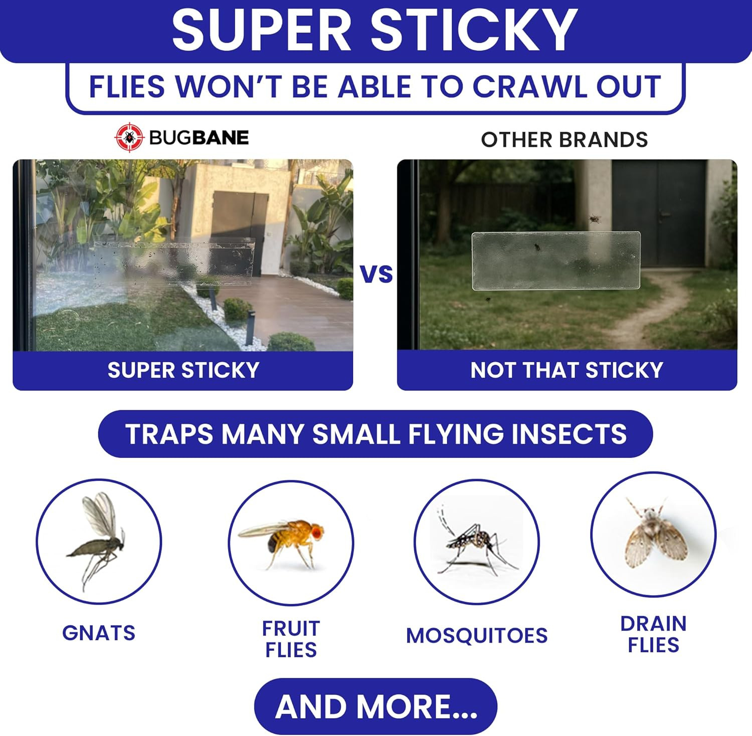 50 Window Fly Traps Sticky Non-Toxic Clear Fly Paper Indoor for Home. No Mess F