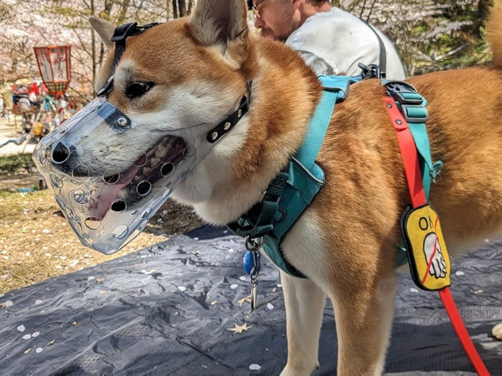 Dog Muzzle, Basket Muzzle for Small Medium Lar Sized Dogs to