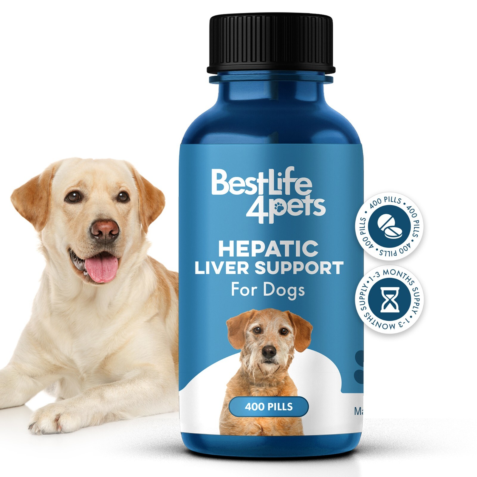 Hepatic Liver Support for Dogs