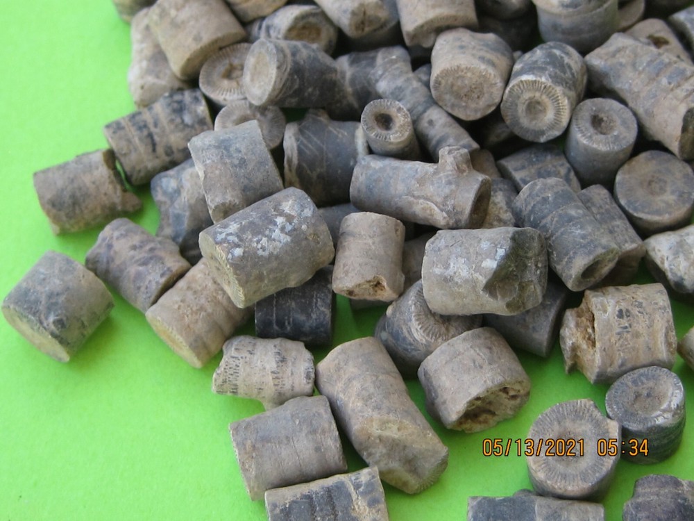 500 FOSSILS WHOLESALE