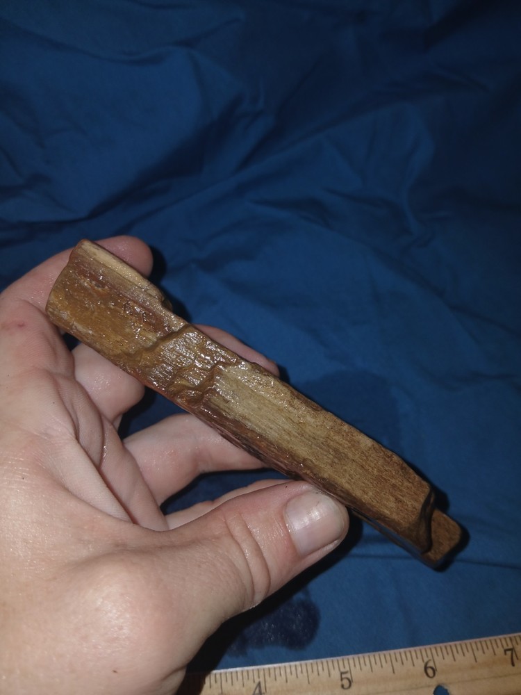 5 oz Agatized Petrified Wood