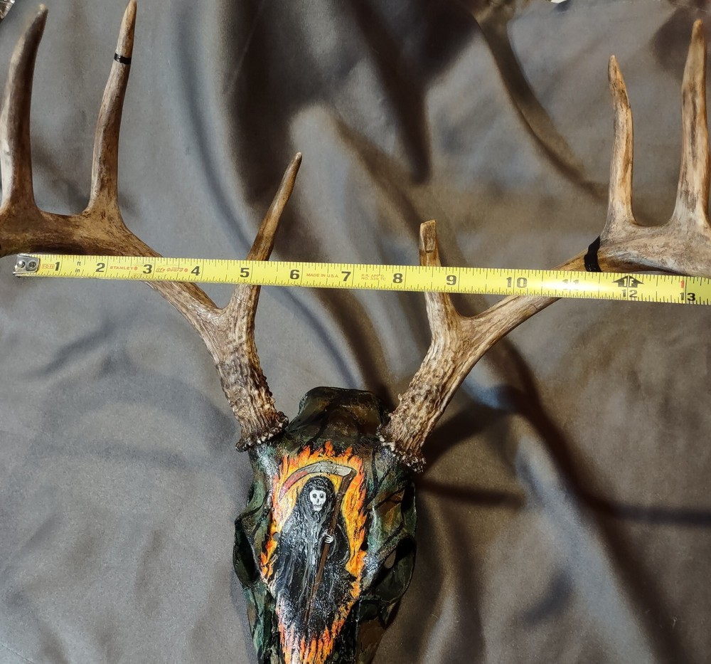 Painted European mount. 8 point, camo, grim reaper.