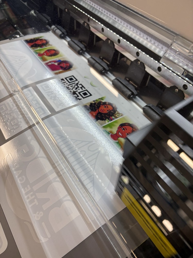 Dtf Two Head 24”Machine