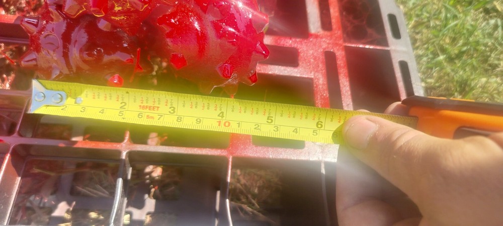 5" Tricone Roller Cone Sealed Bearing Drill Bit