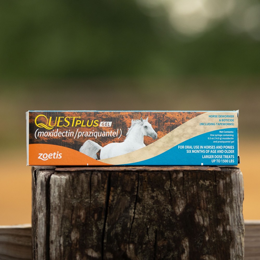 Quest Gel Plus 1ds