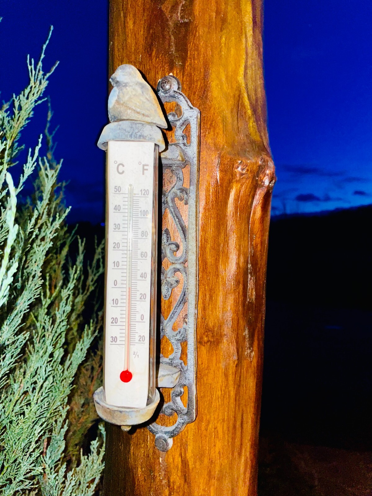 Metal Cast Iron Thermometer Bird Wall Indoor Outdoor Farmhouse Garden Decor NEW