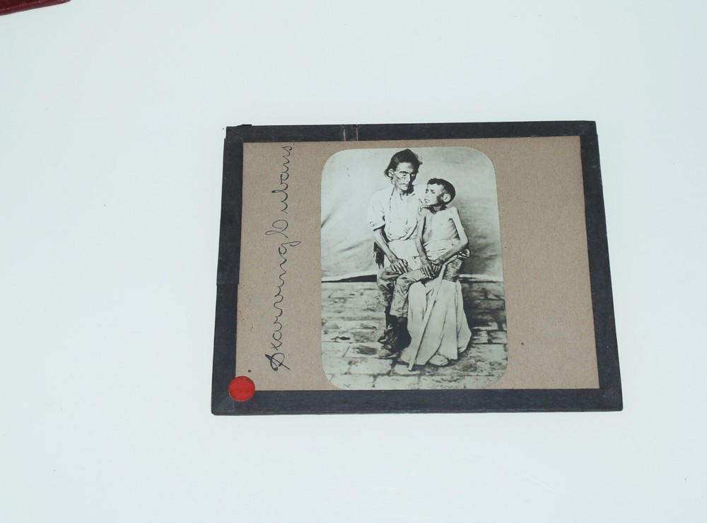 Starving Cubans  GLASS SLIDE