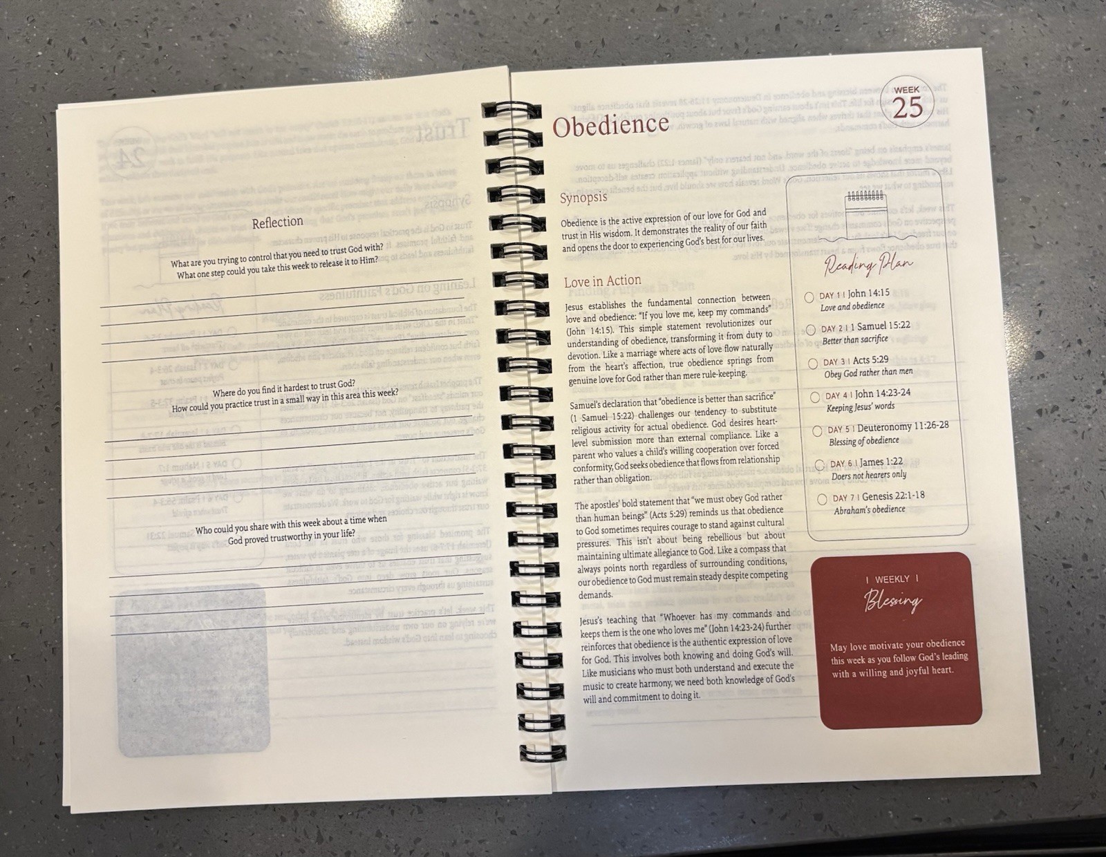 The Bible In A Year: A 52-Week Bible Study Guide W/Bible Tabs & Highlighters