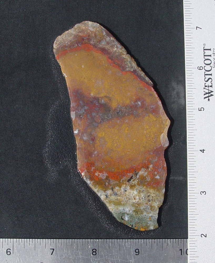 Macaw Agate from Mexico   Lapidary Slab                   T721