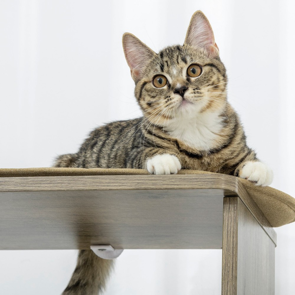 65" Corner Modern Cat Tree Tall for Climbing with Scratching Posts
