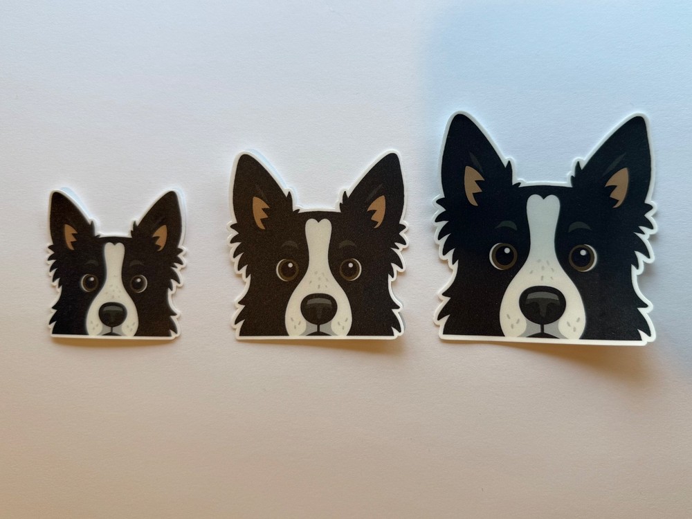 Border Collie Peeking Sticker