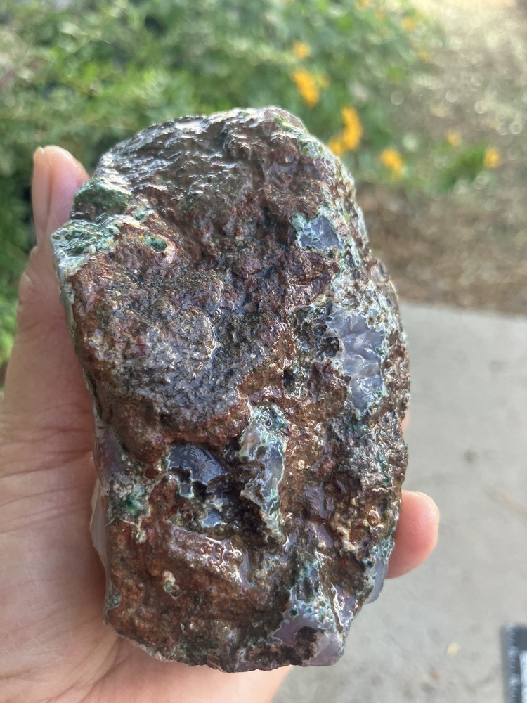 Laguna Agate Specimen (Rough)