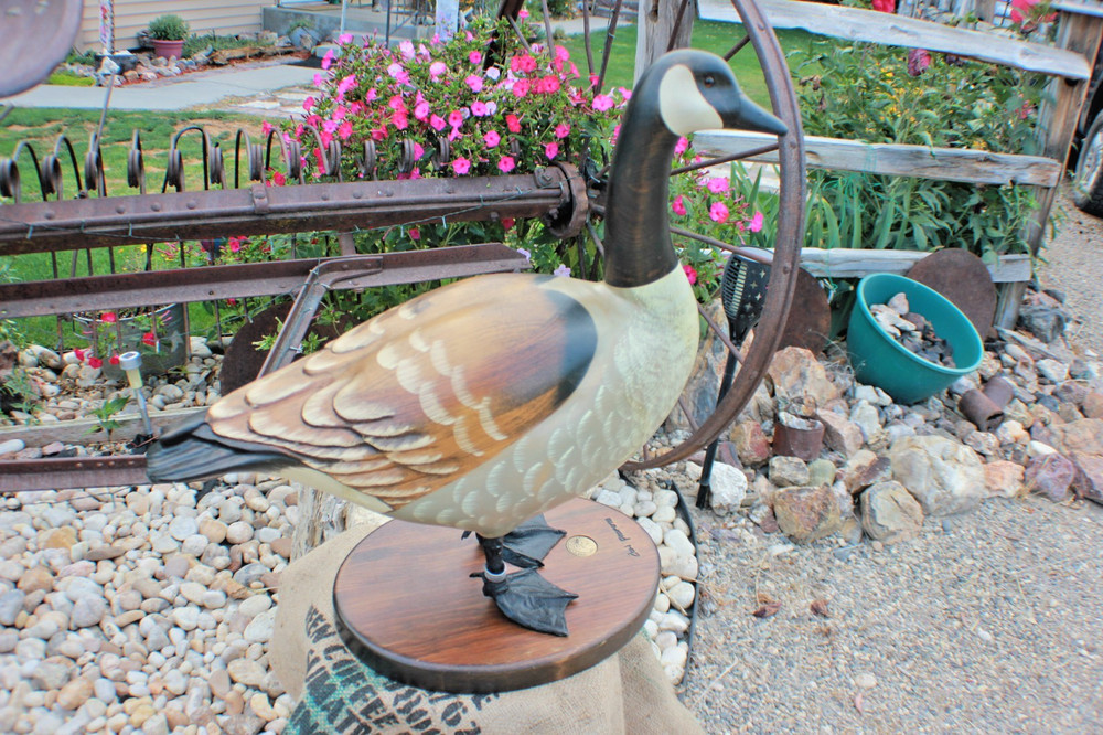 DON PROFOTA GOOSE Collector