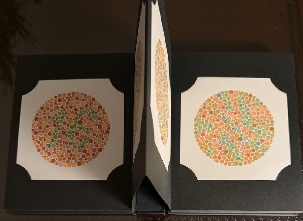Ishihara Test Chart Book Color Deficiency TestEasy Reference VisionTesting(2012)