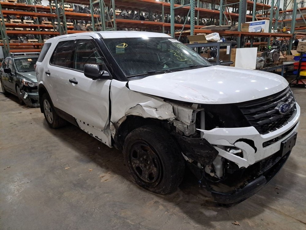 2018 Explorer Jack Sku#4407286