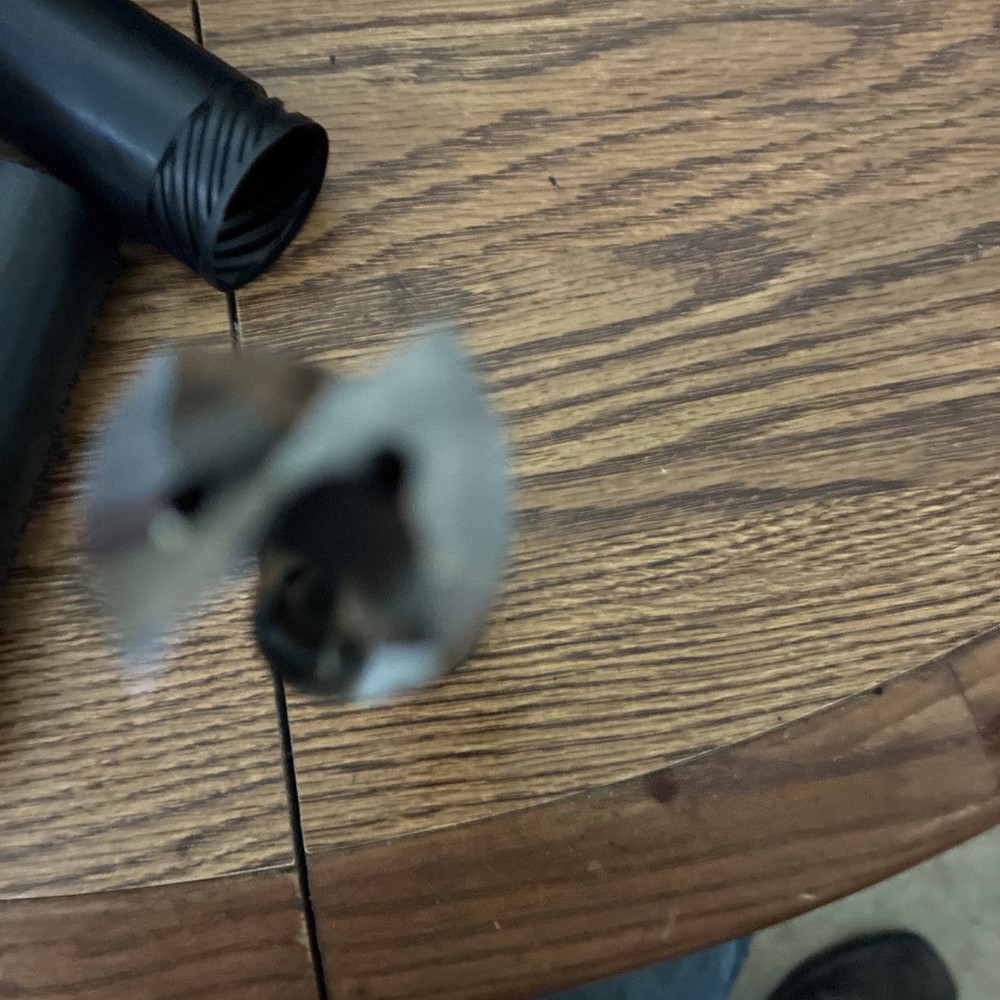 Guhring 22.225 mm Solid Carbide Coolant Drill bit