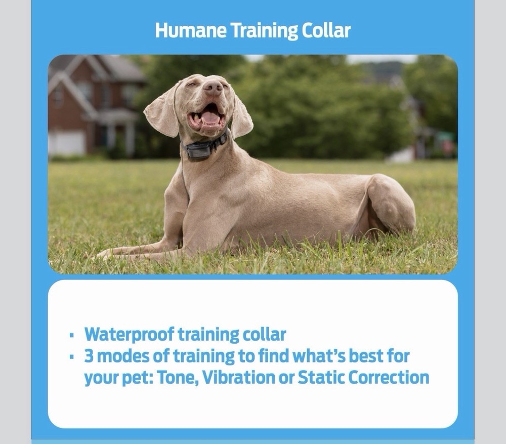 Premier Pet 300 Yard Remote Trainer