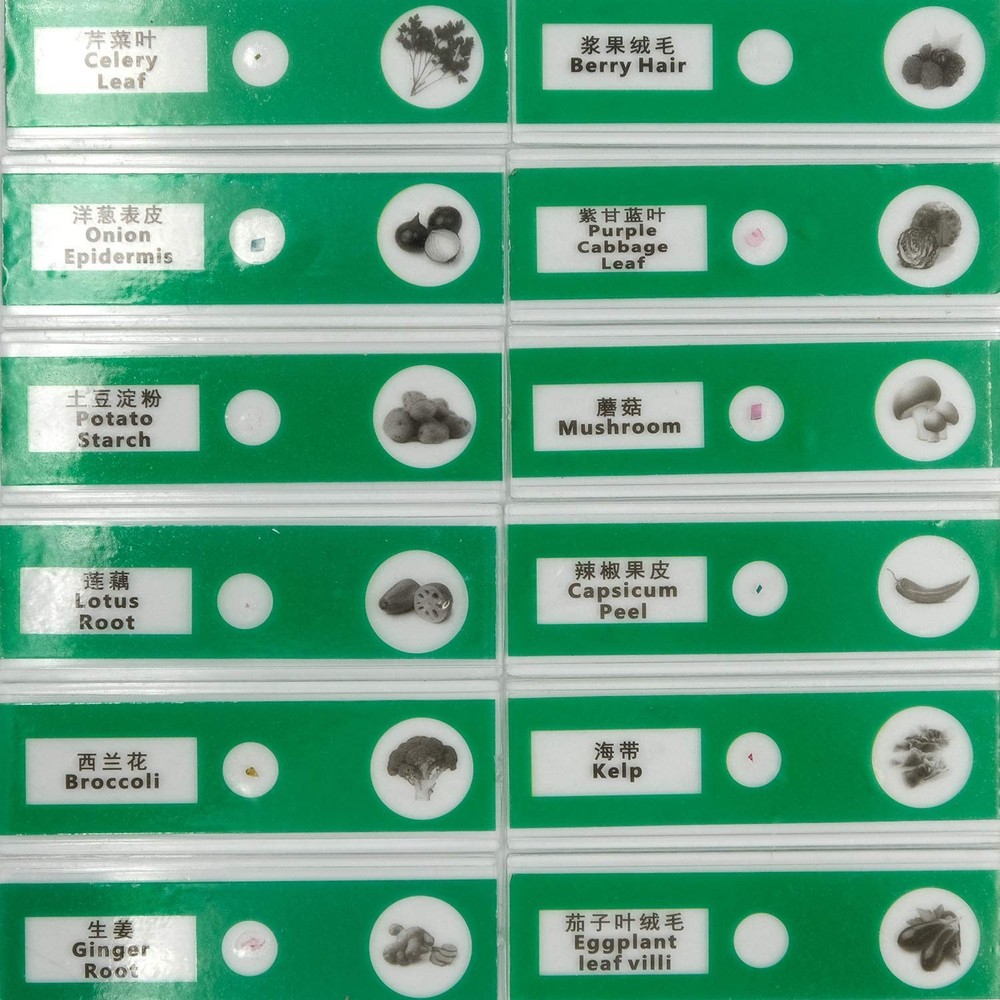 48pcs Prepared Plastic Microscope Slides Biological Specimen with 4 Boxes for...