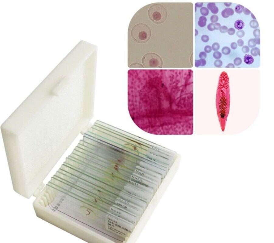 25pcs Parasites Microscope Specimen Slides for Parasitology Teaching Research