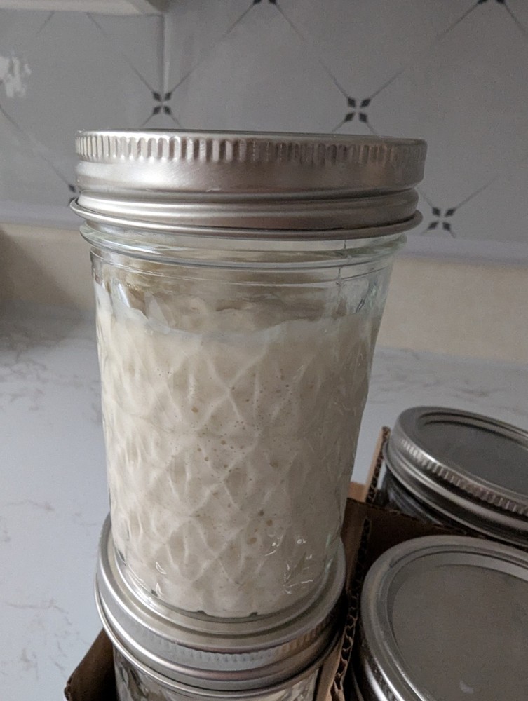 Sourdough Starter for Bread