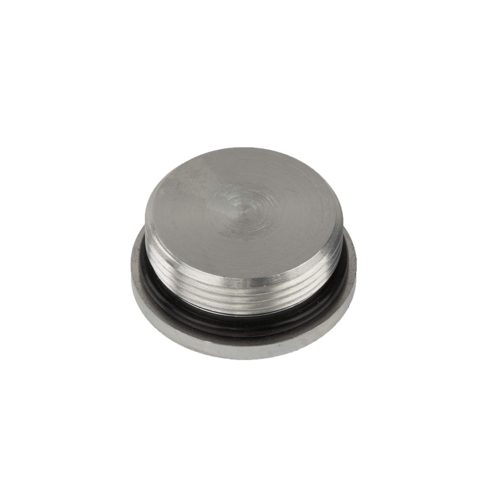 SAE-20 ORB PLUG