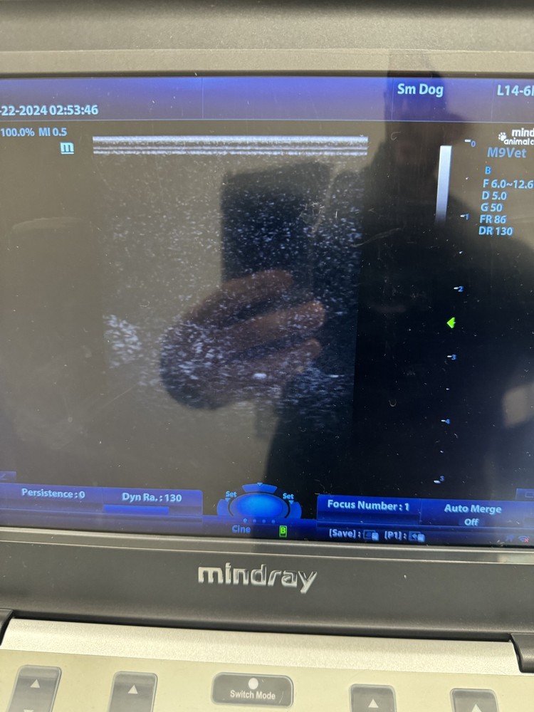 2023 Mindray L14-6Ns VET Linear Array Ultrasound Probe