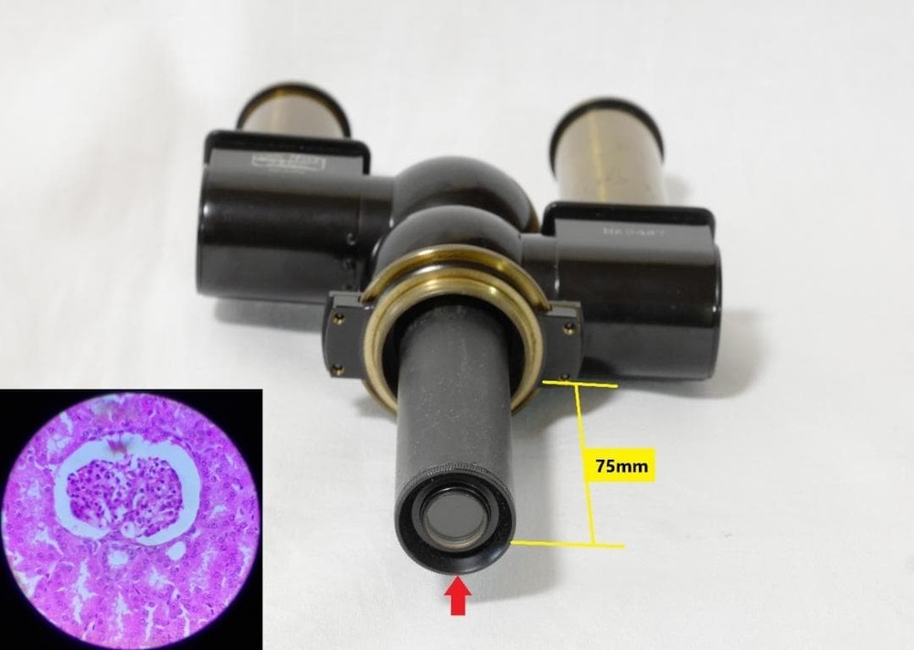 Antique Carl Zeiss Bitumi Binocular Attachment 1925 Microscope Accessory