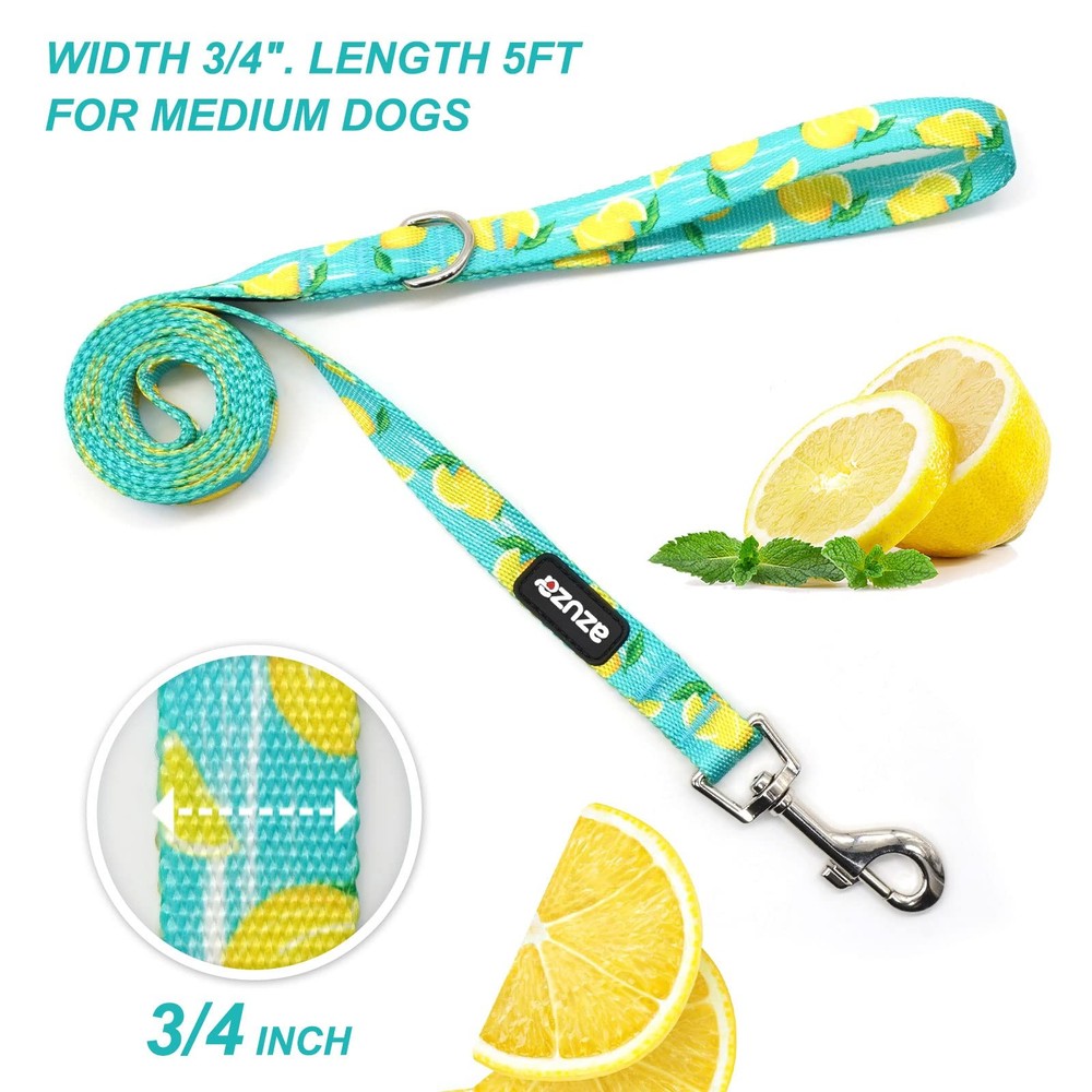 Fruit Design Nylon Dog Leashes 5FT with Easy to Use Hook 3 Pack Medium