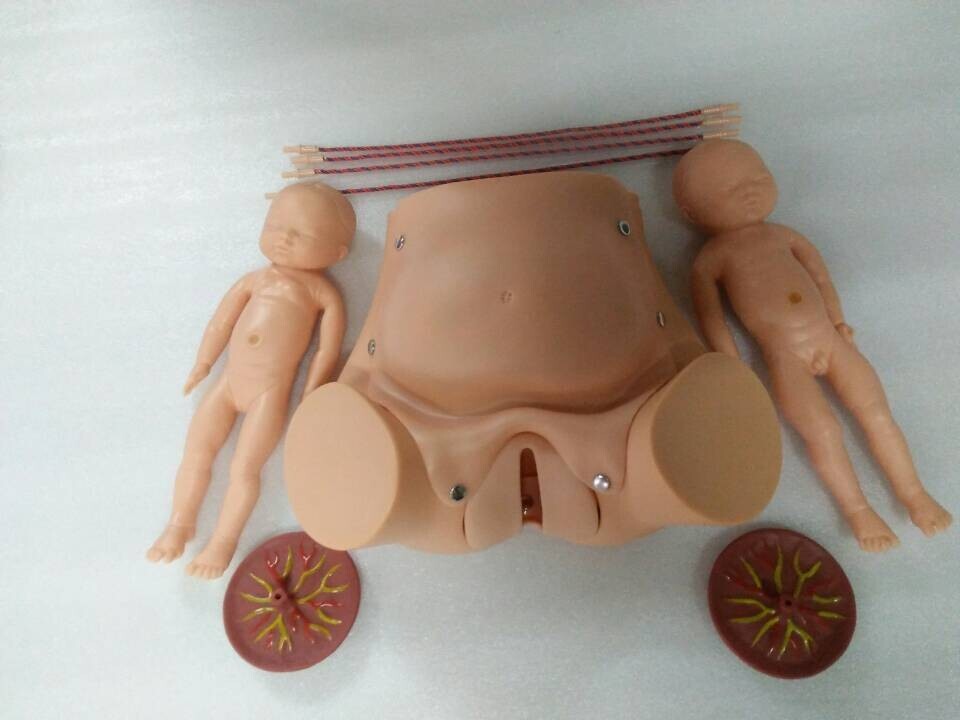 KAS/5A Childbirth Skill Training Simulator Display Model Training Manikin