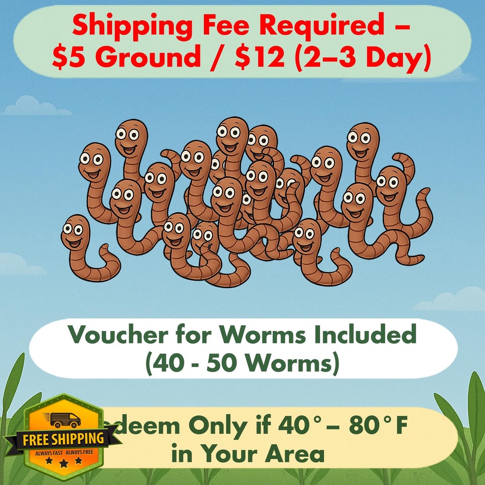 ES EVVIVA SCIENCES Worm Habitat Kit Science Ecosystem Container