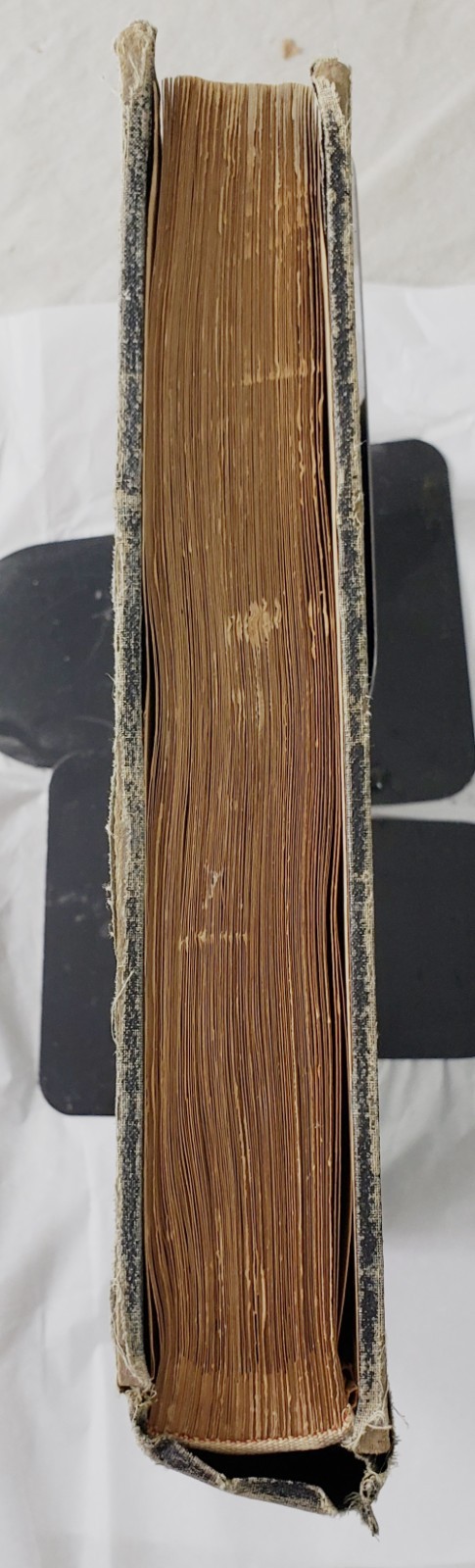 Antique Rare Manuscript Art Masters Hand Written History Commentary Illustrated