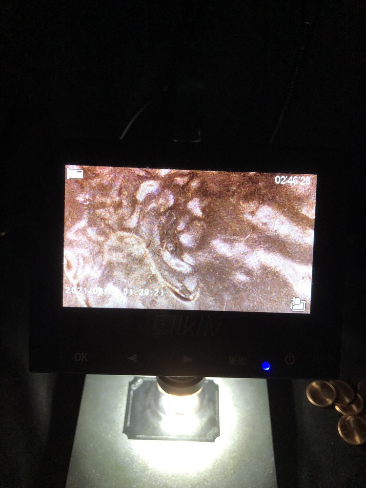 2023 Lincoln Penny Error #3