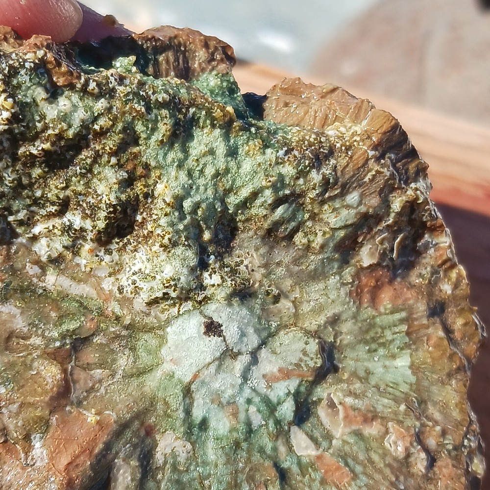 Quartz Lapidary Chalcedony Mud Fossil Jasper Rough Specimen