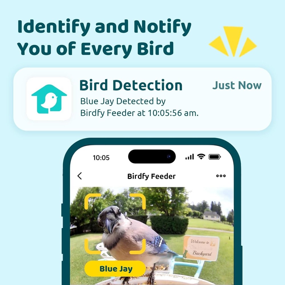 AI Bird Feeder for Live Streaming & Notifications