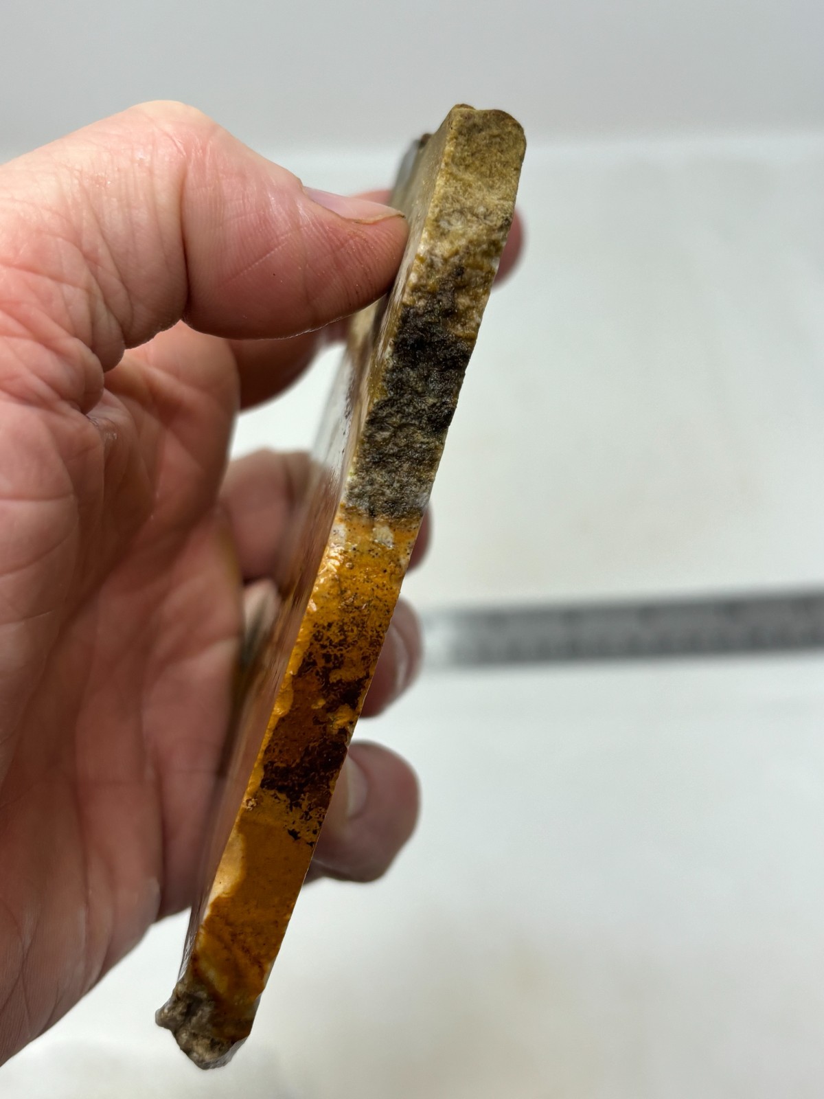 Disaster Peak Picture Jasper Slab Cabbing Lapidary Collecting Combo Ship Avail