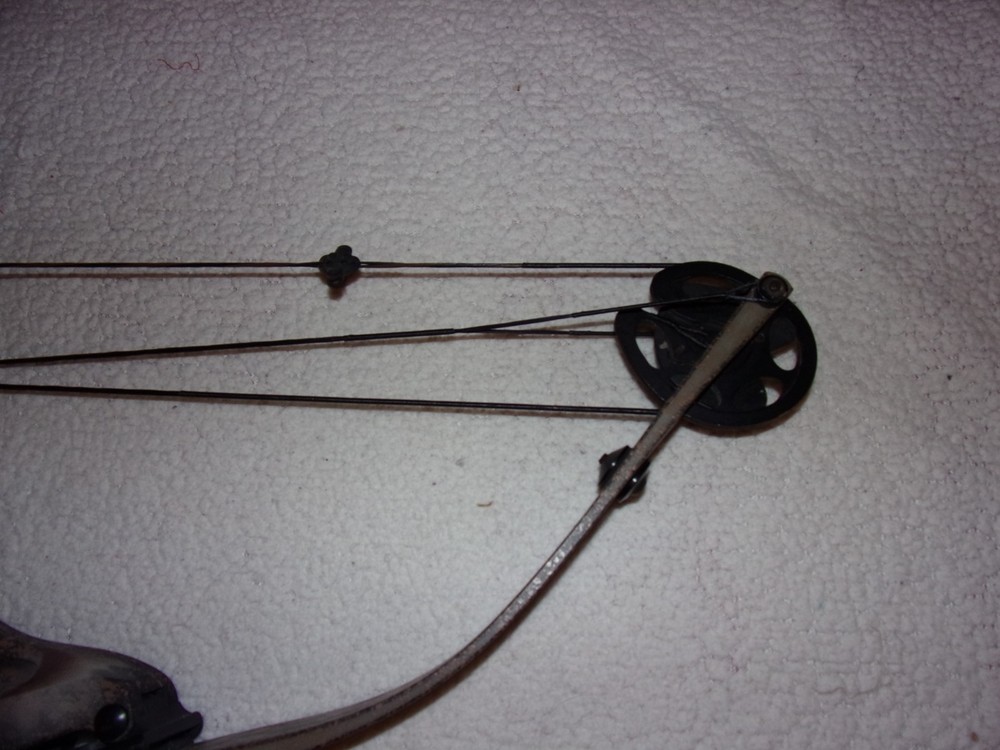 Hoyt Raptor Excel Compound Bow