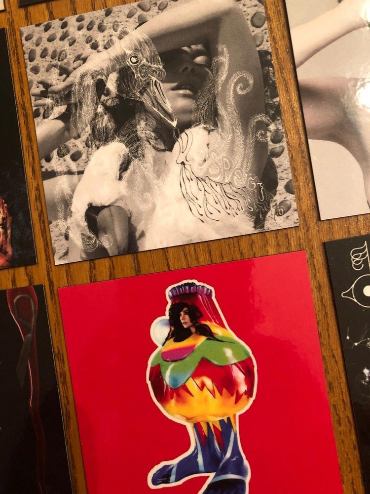 Bjork fridge magnets