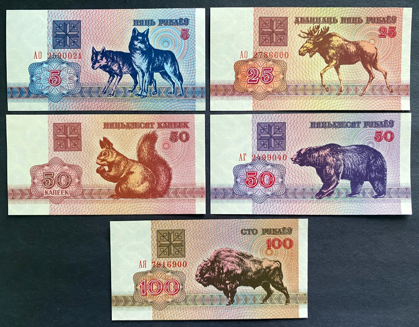 Lot of 5 Animal Kingdom Wildlife Belarus Banknote Set Foreign World Paper Money