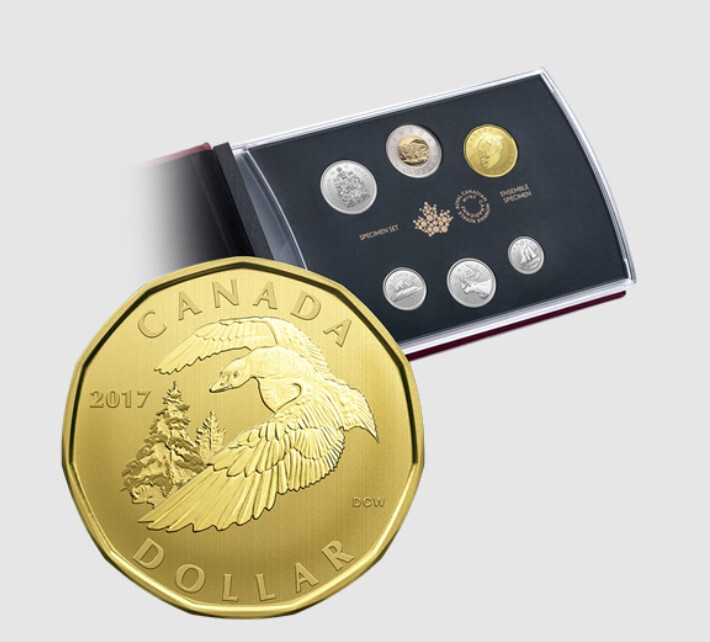 2017 Canada Specimen Set - Special Edition Snow Goose Dollar