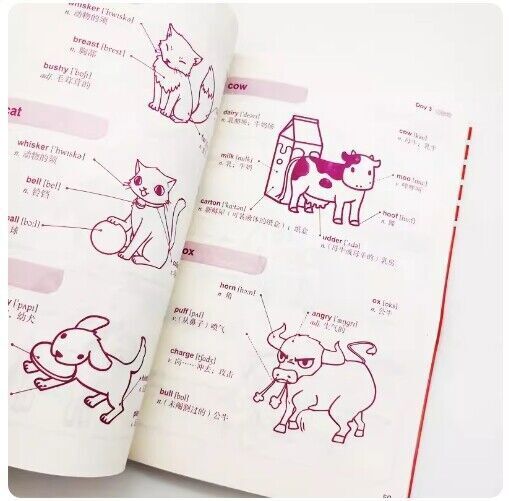 好快!10天背完3000英语单词小学英语单词大全英语单词记背神器词汇大全小学初中高中单词英语词汇速记大全分类书籍