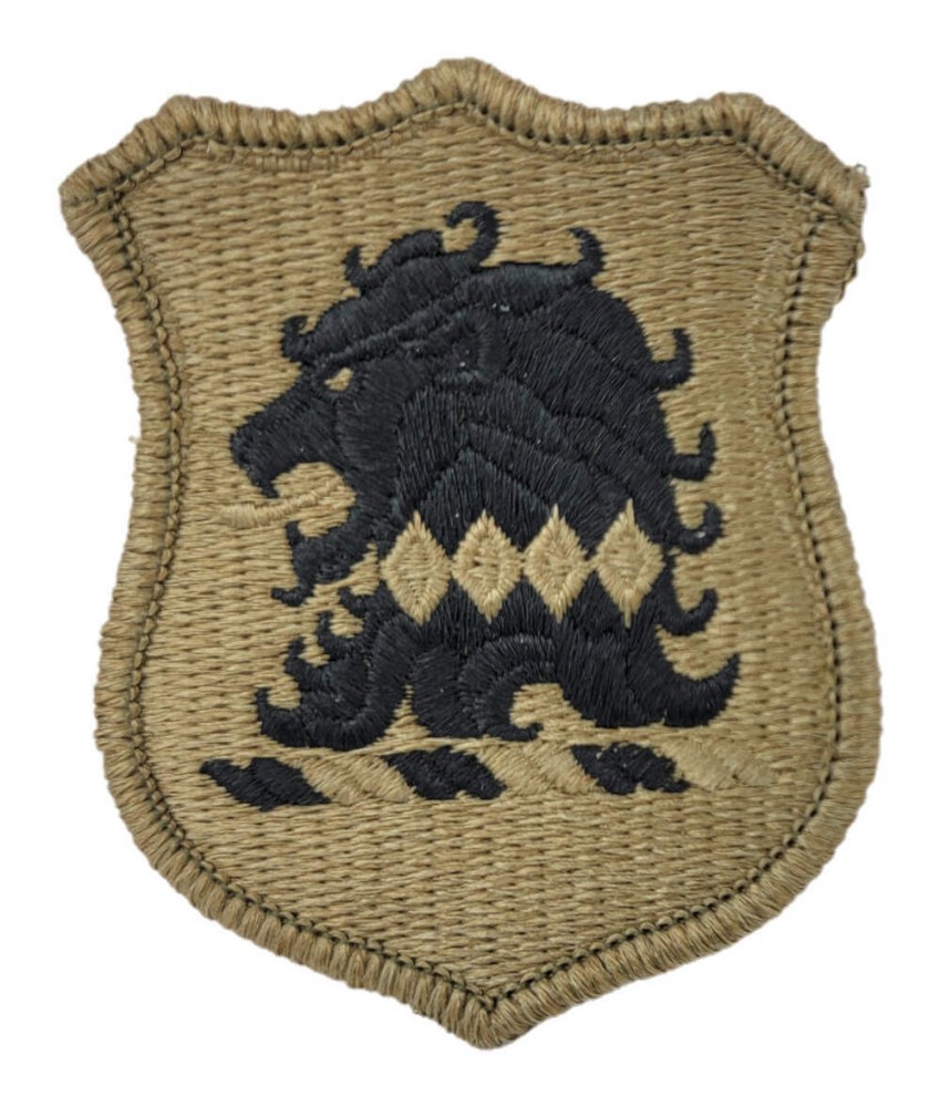 New Jersey Army National Guard OCP Patch - U.S. Army Patch