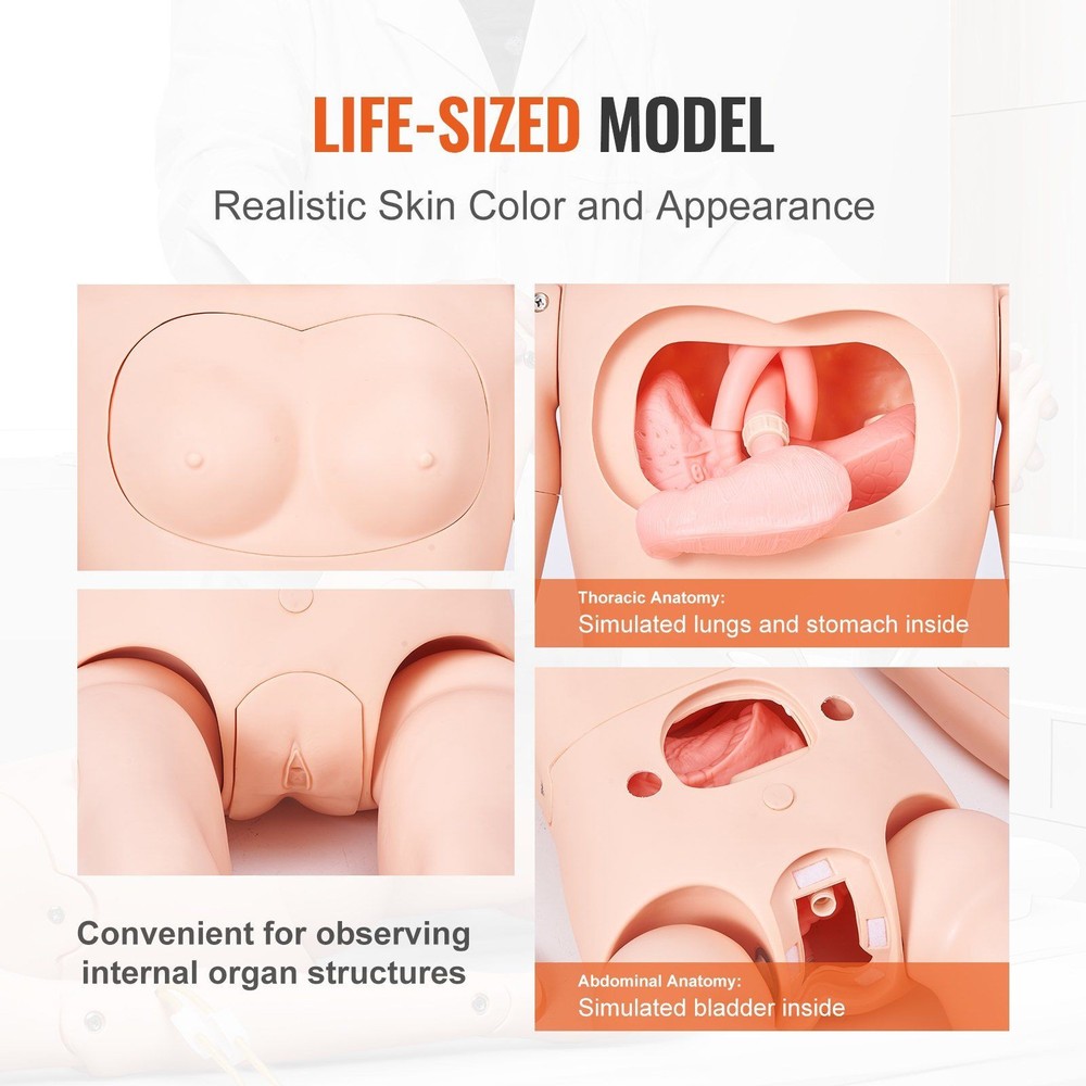 Versatile Nursing Manikin for Laboratory Classroom Training Activities