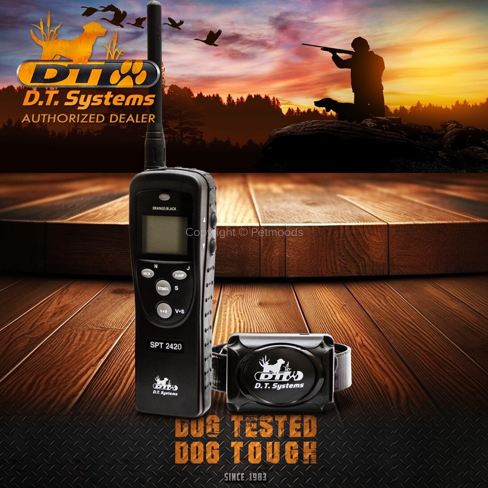 DT Systems SPT2420 Super Pro e-Lite Long Range Remote Dog Training 3.2 Mile