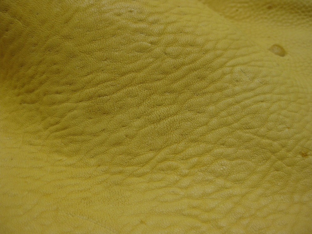 Top Grain Deer Leather - Thick # 0013603 ROW 17